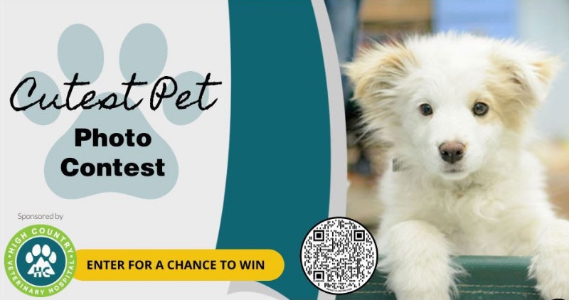 KRDO Cutest Pet Photo 2023 Contest