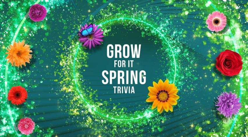 LIVE with Kelly and Mark Grow For It Spring Trivia Sweepstakes