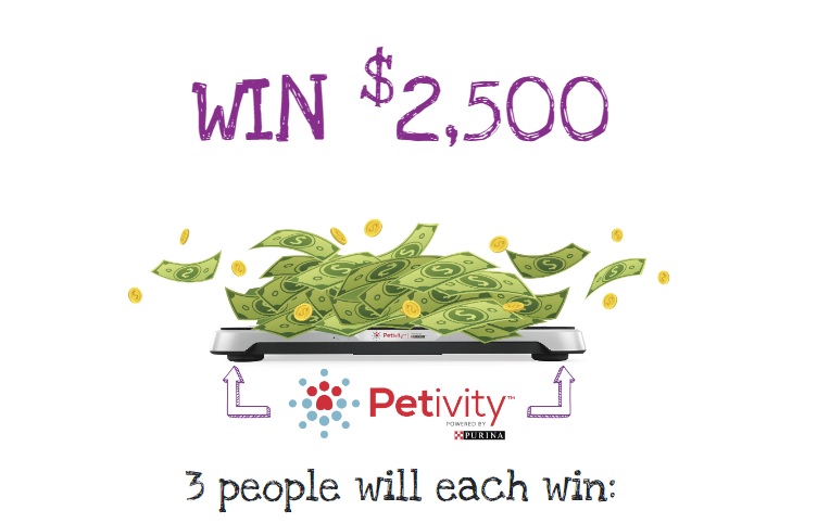 Nestle Purina PetCare Friskies Cats Rule Sweepstakes - Chance To Win Free $2,500 Cash, Pet Supply