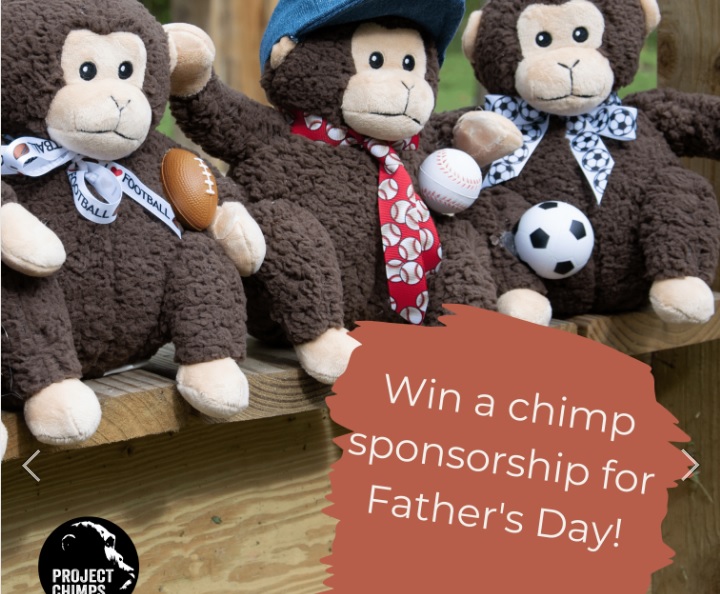 Project Chimps Fathers Day 2023 Giveaway